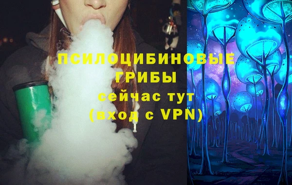 не бодяженный Белокуриха