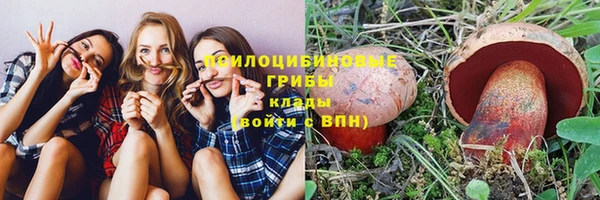 молекула духа Беломорск